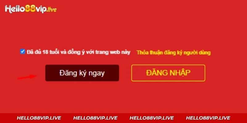 Đăng Ký Hello88: Cách Tạo Tài Khoản Chỉ Với 3 Bước Bấm xác nhận để tạo tài khoản thành công