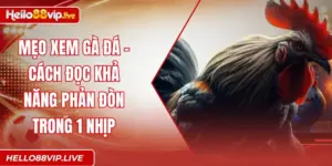 Mẹo Xem Gà Đá